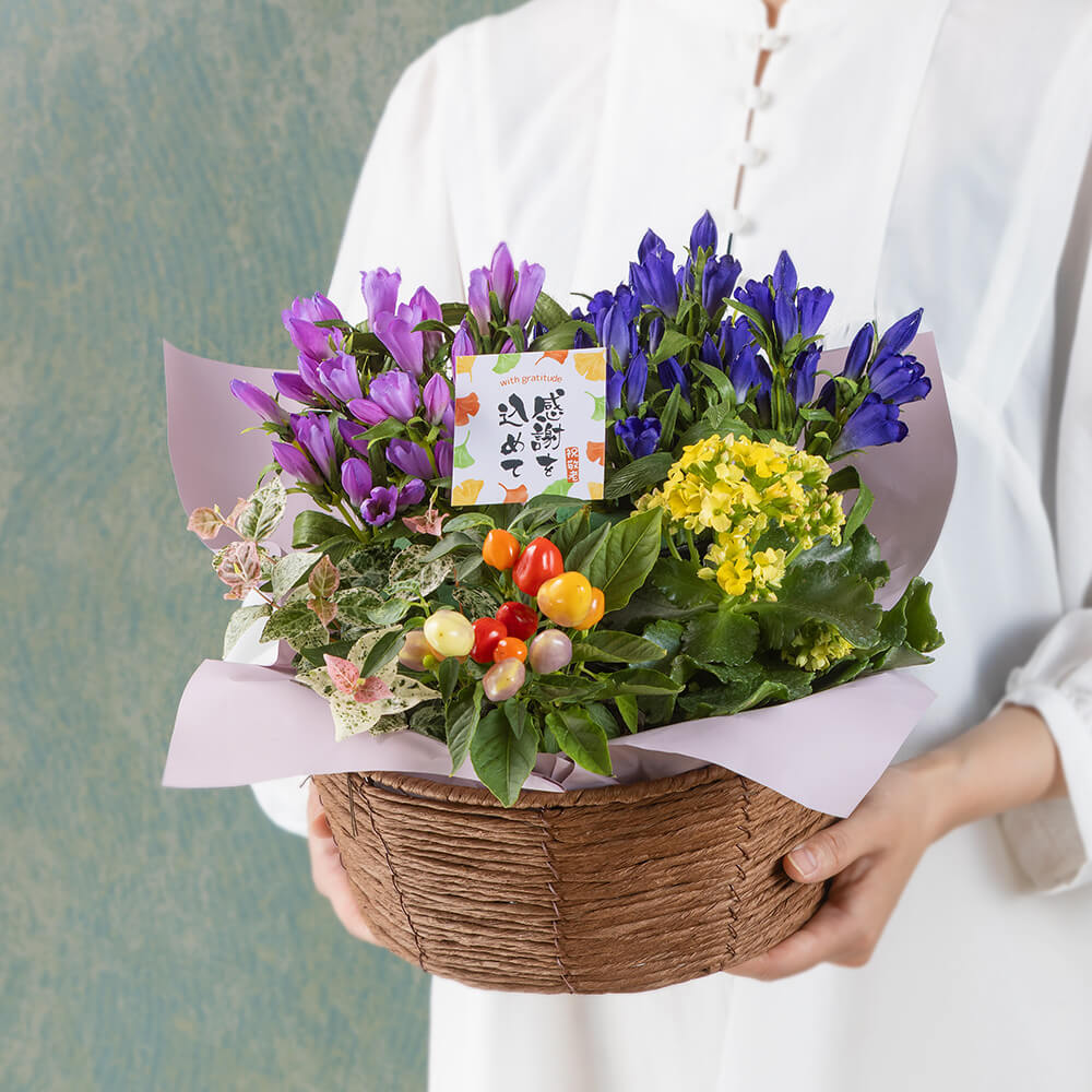 【敬老の日】秋の寄せ植え/花ギフト・プレゼント｜イイハナ・ドットコム（花ギフトの専門店）｜敬老の日 寄せ鉢「秋の彩りバスケット」｜出荷実績400万件以上、13時までのご注文は最短翌日お届け(一部商品は除きます）。インターネットで24時間受付中。千趣会（ベルメゾン）のお花屋さん e87.com
