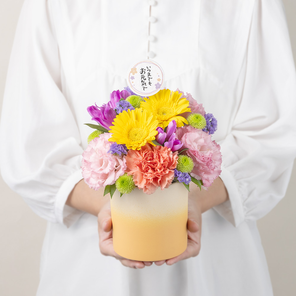 【敬老の日】フラワーアレンジメント/花ギフト・プレゼント｜イイハナ・ドットコム（花ギフトの専門店）｜敬老の日 アレンジメント「ぽかぽかの贈りもの」｜出荷実績400万件以上、13時までのご注文は最短翌日お届け(一部商品は除きます）。インターネットで24時間受付中。千趣会（ベルメゾン）のお花屋さん e87.com